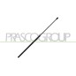 Molla A Gas Cofano anteriore per Volkswagen Passat VG0559001