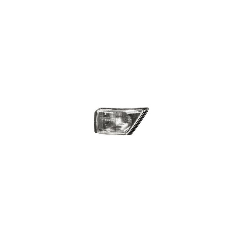 Gruppo L2489 ottico Fan.ant.bian.Iveco Daily 326902489