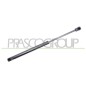 Molla A Gas Portellone posteriore destro/Sinistro per Volkswagen Passat VG0559055