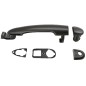 Maniglia Porta Esterna anteriore/Posteriore destro/Sinistro C/Pr per Renault Clio, Laguna III e Modus e altri modelli AL8092303