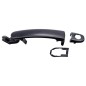 Maniglia Porta Esterna anteriore destro/Sinistro C/Pr per Audi A2 (8Z0), Tt (8*3_8N9) e Seat Altea e altri modelli AL8094102