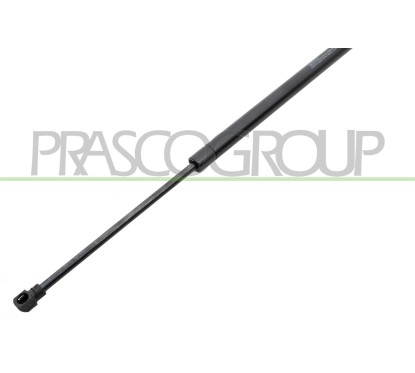 Molla A Gas destro/Sinistro Portellone per Volkswagen Golf (VII), Golf (VII) Gti-Gtd e Golf (VII.2) e altri modelli VG4009055