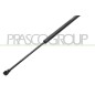 Molla A Gas destro/Sinistro Portellone per Volkswagen Golf (VII), Golf (VII) Gti-Gtd e Golf (VII.2) e altri modelli VG4009055