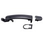 Maniglia Porta Esterna posteriore destro/Sinistro C/Pr per Audi A2 (8Z0), Seat Altea e Arosa I (6H) e altri modelli AL8094109
