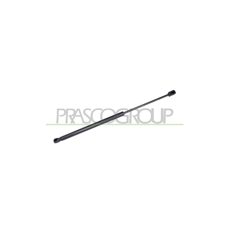 Molla A Gas Portellone posteriore destro/Sinistro per Volkswagen Tiguan VG8079055