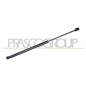 Molla A Gas Portellone posteriore destro/Sinistro per Volkswagen Tiguan VG8079055