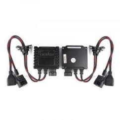 Intelligentino 12V (Conf.2 Pz) 41627
