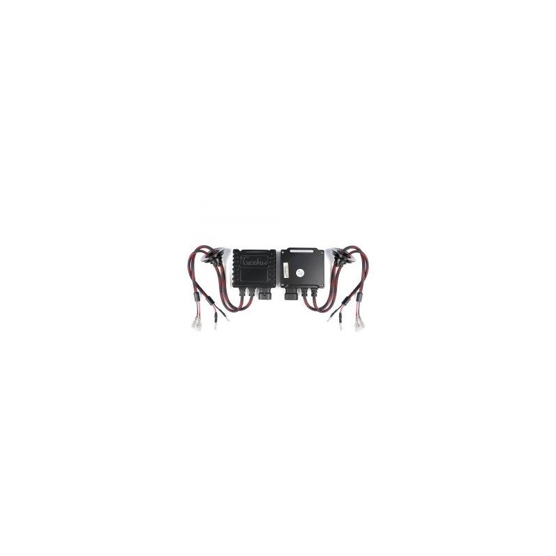 Intelligentino 12V (Conf.2 Pz) 41636