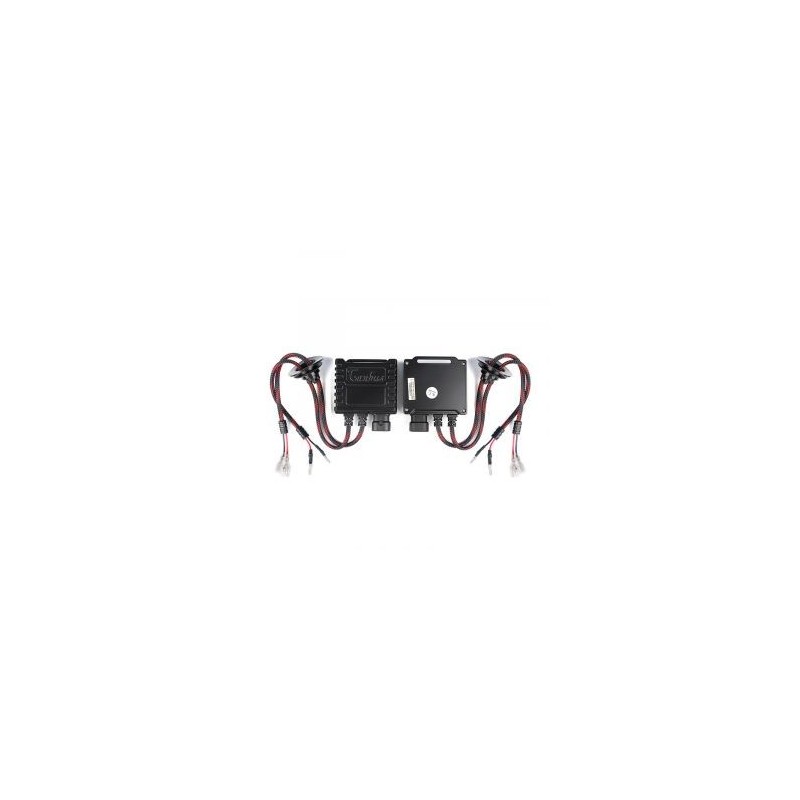 Decoder 12V D1/D2/D3/D4 (Conf.2 Pz) 41639