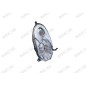 Proiettore F2560 Micra 2003- Ele per Nissan Micra (K12) 327002560
