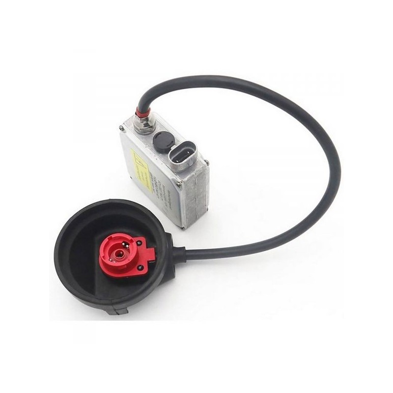Centralina Xeno per Renault Megane 608624