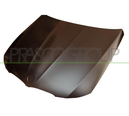 Cofano per Bmw 3 (E90/E91) BM0263100