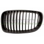 Griglia Radiatore sinistro Nera per Bmw 1 (E87N) BM1212014