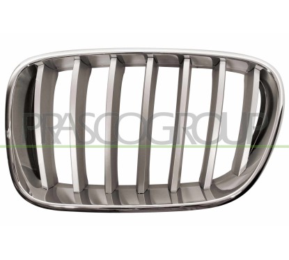 Griglia Radiatore sinistro Crom./Titanio per Bmw X3 (F25) BM8042014