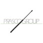 Molla A Gas Lunotto posteriore destro/Sinistro per Citroen C1 e Peugeot 108 CI2069059