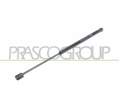 Molla A Gas destro/Sinistro Portellone posteriore (380N L.460MM) per Citroen C2 CI3049055