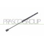 Molla A Gas destro/Sinistro Portellone posteriore (380N L.460MM) per Citroen C2 CI3049055
