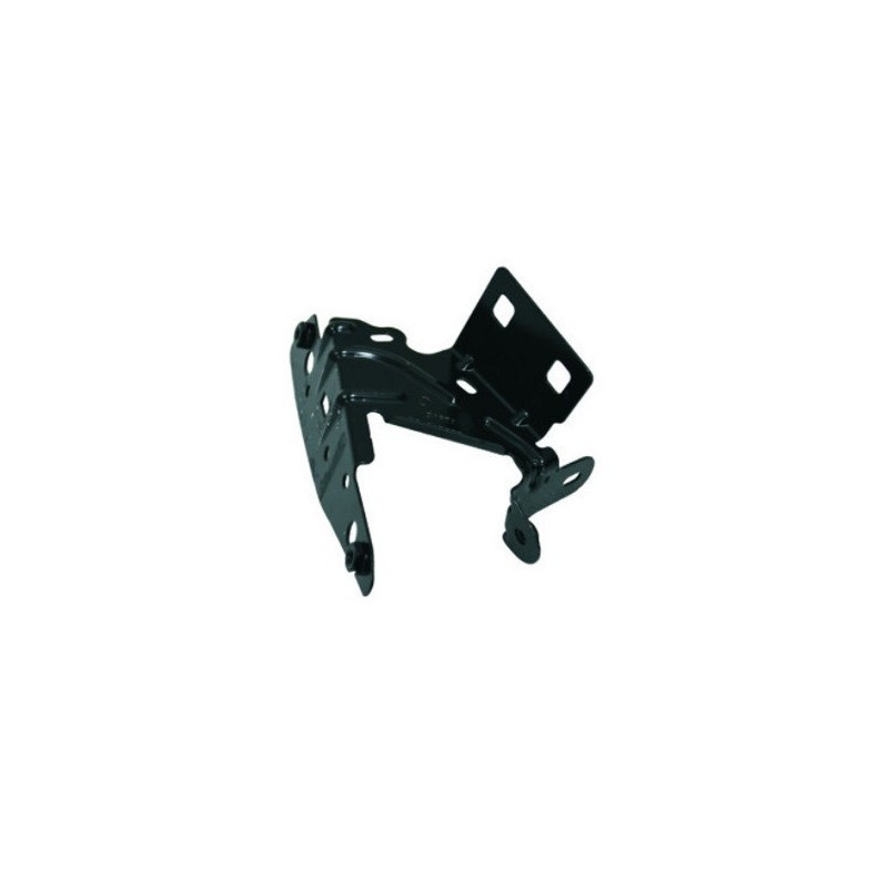 Staffa Montaggio Parafango sinistro per Citroen C3 e DS3 CI3241014