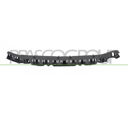Assorbitore Paraurti anteriore in Plastica per Citroen C3 CI3281602