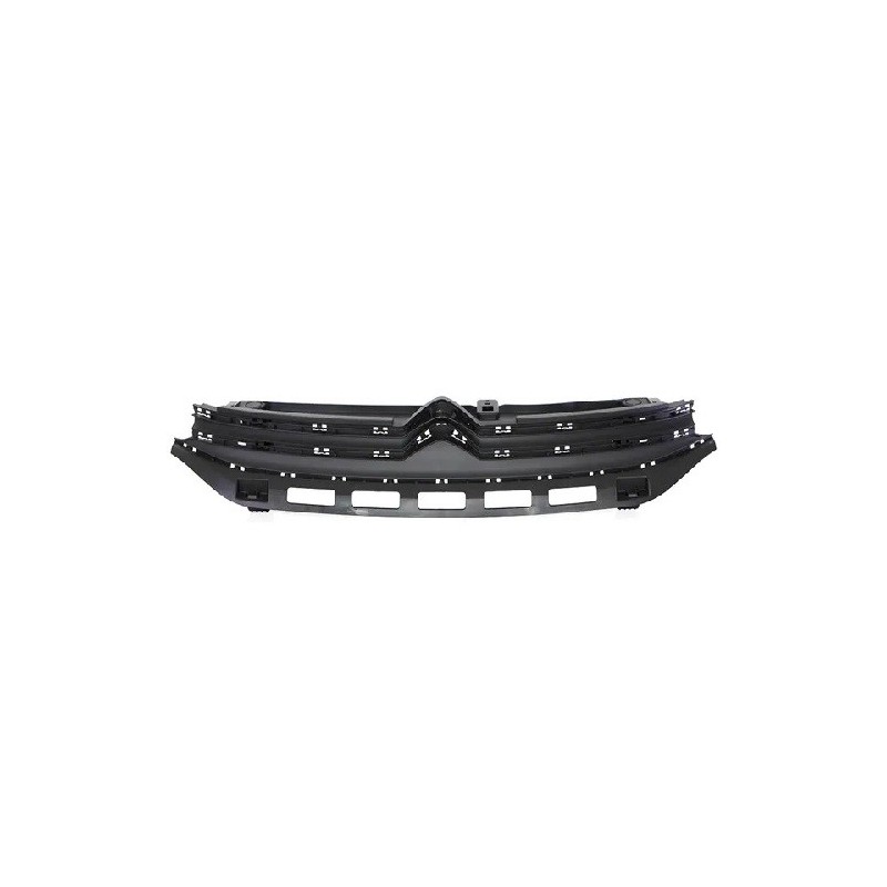 Griglia Radiatore Nera per Citroen C3 CI3282001