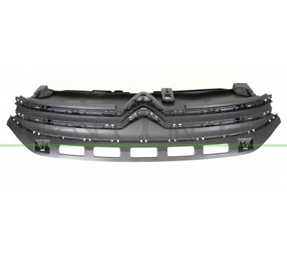 Griglia Radiatore Nera per Citroen C3 CI3282001