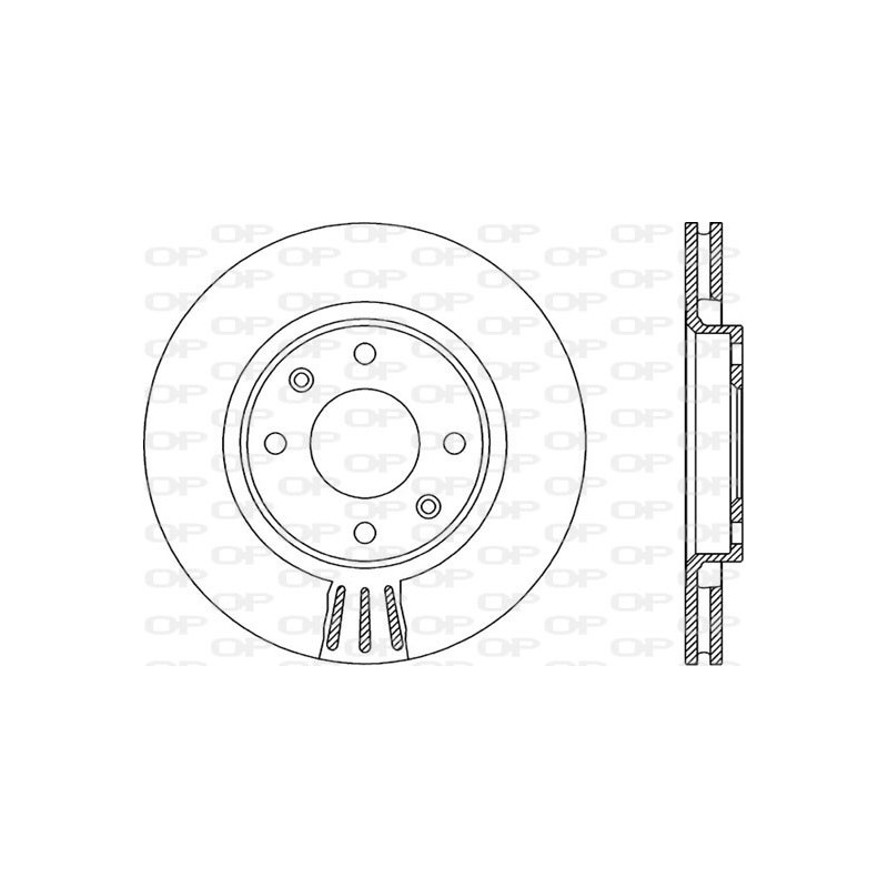 Disco Freno Verniciato BDR1901.20