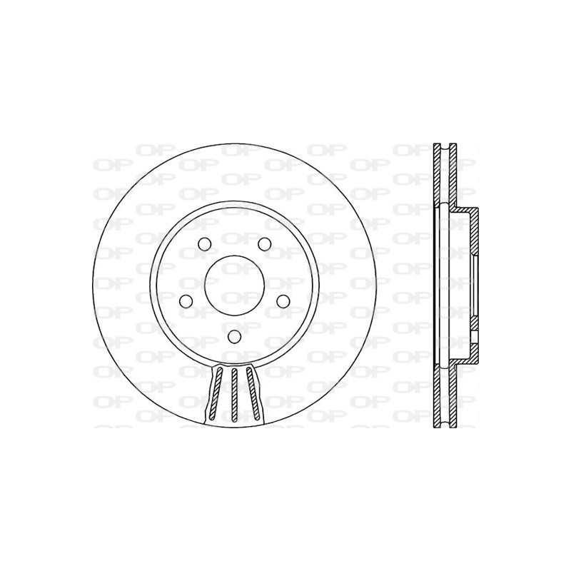 Disco Freno Verniciato BDR1912.20