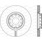Disco Freno Verniciato BDR1924.20