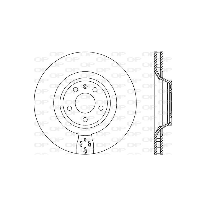 Disco Freno Verniciato BDR2071.20