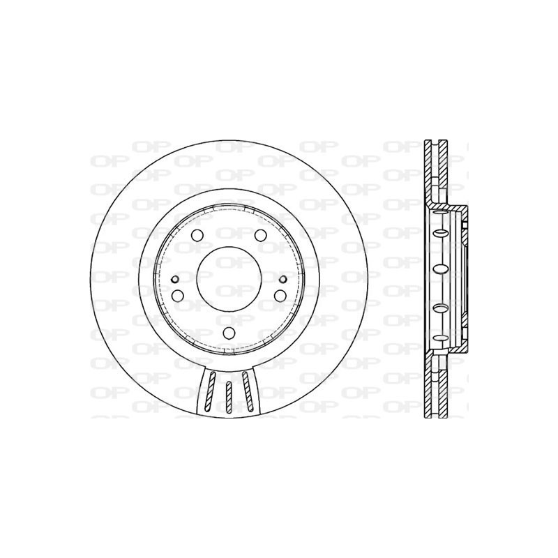 Disco Freno Verniciato BDR2087.20
