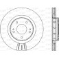 Disco Freno Verniciato BDR2087.20