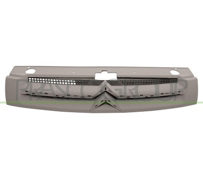 Griglia Radiatore con primer per Citroen Berlingo CI9172011