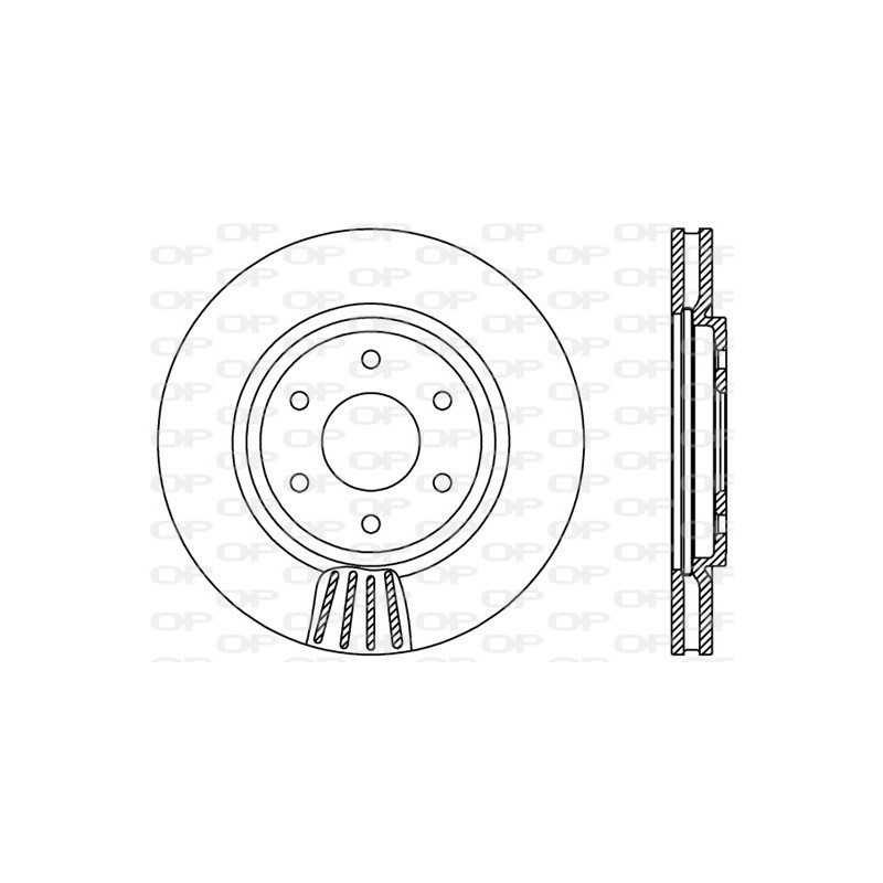 Disco Freno Verniciato BDR2375.20