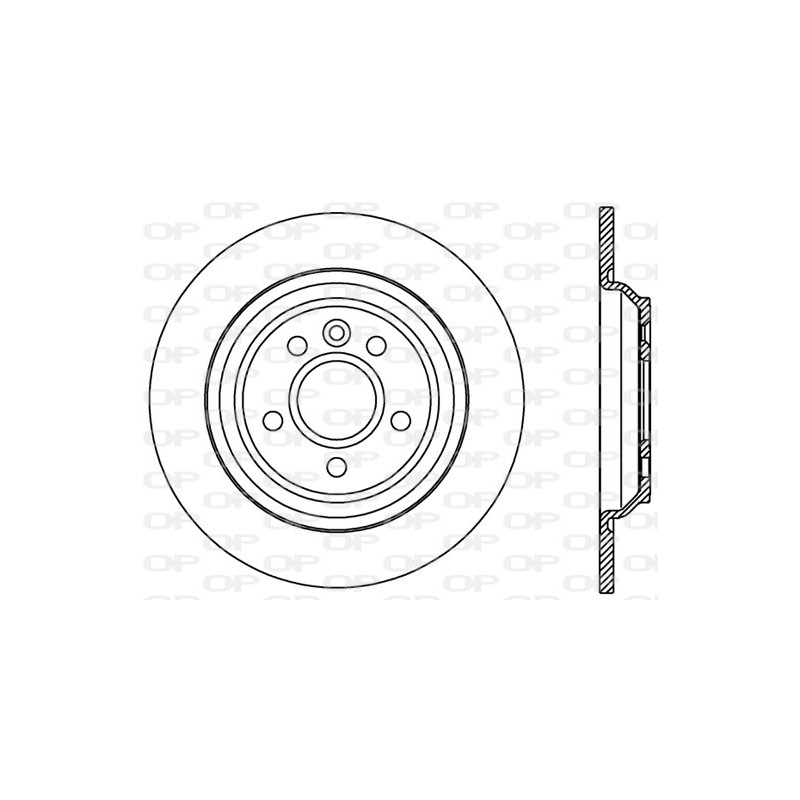 Disco Freno Verniciato BDR2379.10