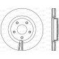 Disco Freno Verniciato BDR2401.20