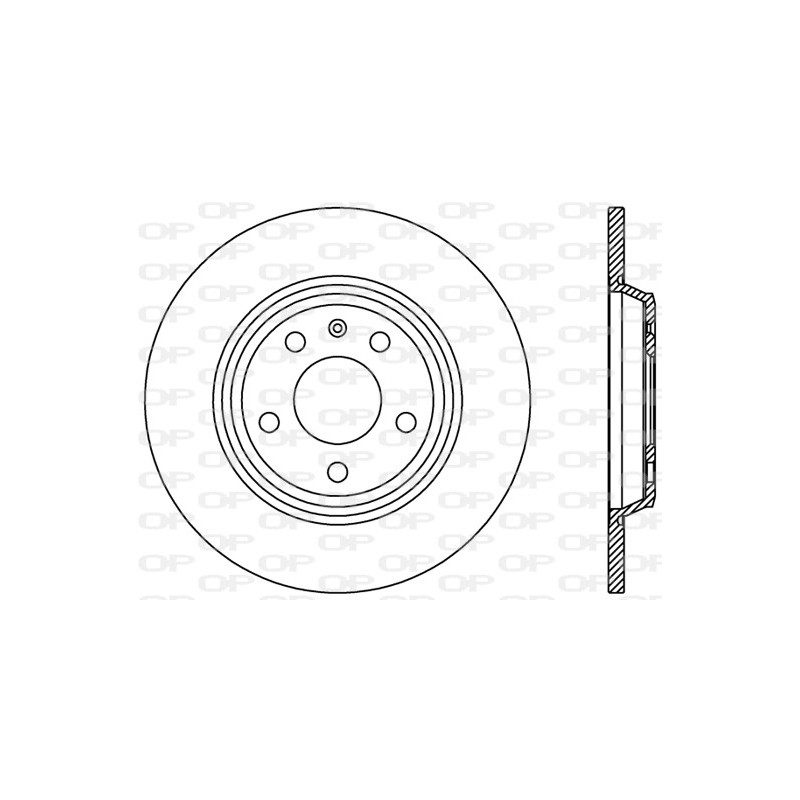 Disco Freno Verniciato BDR2413.10