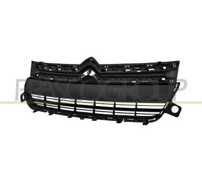 Griglia Radiatore Nera per Citroen Berlingo CI9222001