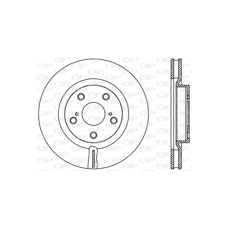 Disco Freno Verniciato BDR2424.20