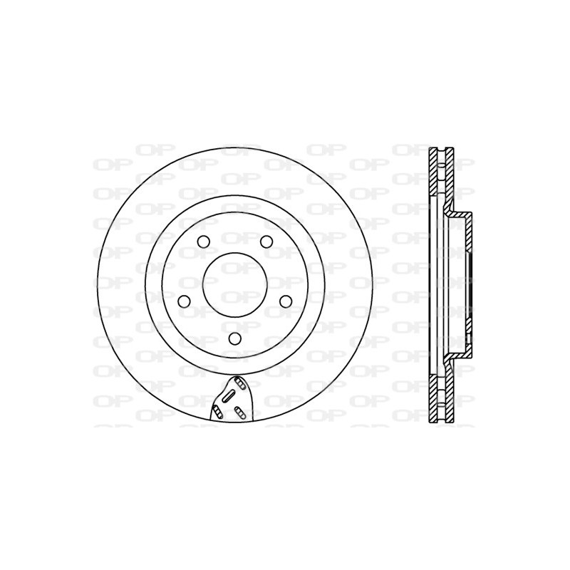 Disco Freno Verniciato BDR2435.20