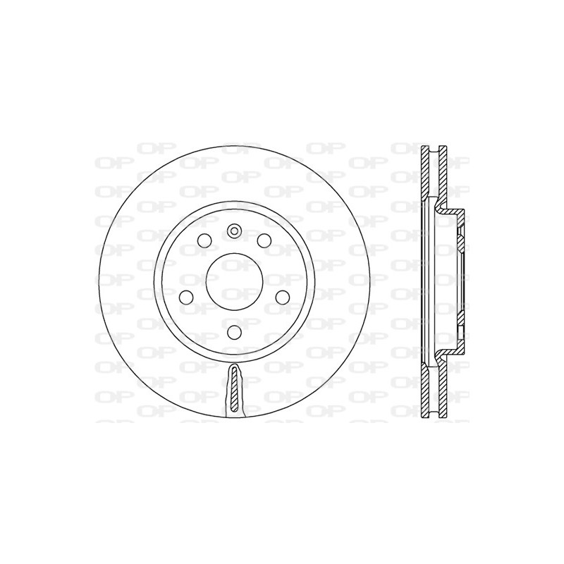 Disco Freno Verniciato BDR2499.20