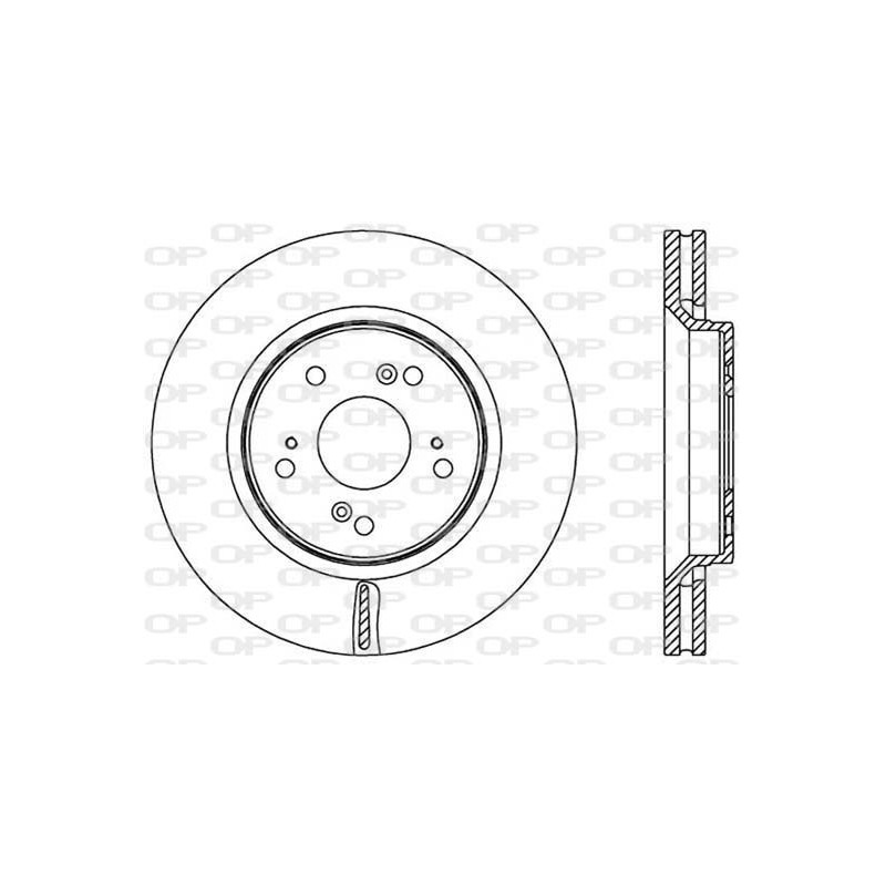 Disco Freno Verniciato BDR2516.20