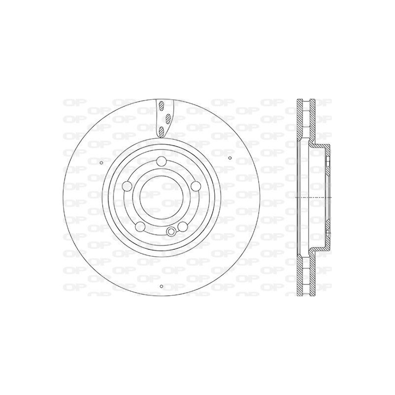 Disco Freno Verniciato BDR2919.20