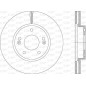 Disco Freno BDR2955.20