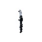 Radiatore Audi 53718