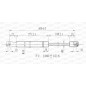 Molla A Gas destro/Sinistro Portellone posteriore (360N L.501MM) per Nissan Micra (K12) DS0119055