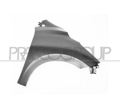 Parafango anteriore destro per Nissan Micra (K14) DS0163003