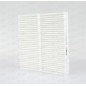 Filtro Abitacolo CAF2181.01