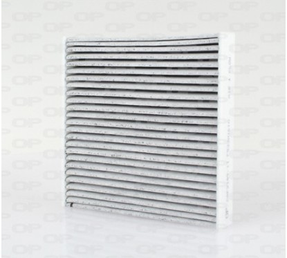 Filtro Abitacolo CAF2189.11 - 80-CAF2189.11 - 80-CAF2189.11