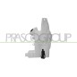 Vaschetta Acqua Tergicristallo con motore per Nissan Qashqai DS712VA11