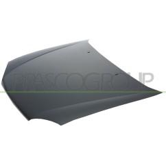 Cofano per Ford Fiesta (MK4) FD0523100 - 64-FD0523100 - 64-FD0523100